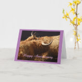 Jubiläumskarte Highland Rind Karte (Gelbe Blume)