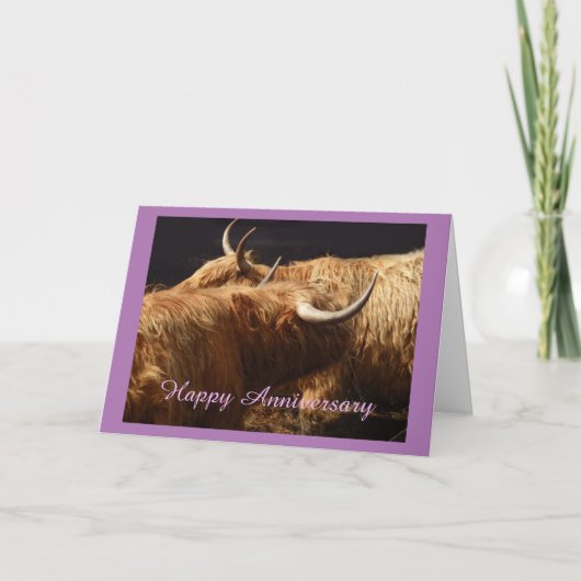 Jubiläumskarte Highland Rind Karte (Vorderseite)