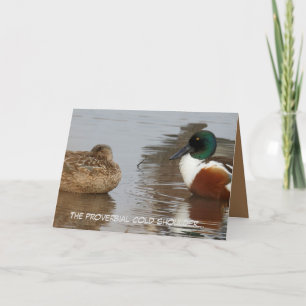 Jubiläumskarte mit Shoveler-Enten Karte