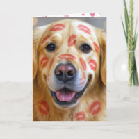 Jubiläumslippenstiftküsse auf einem Golden Retriev