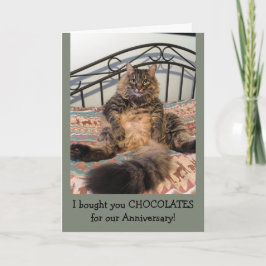 Jubiläumsschokolade Kimber Cat Anniversary Card Karte