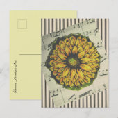 Jubilee Songflower Postkarte (Vorne/Hinten)