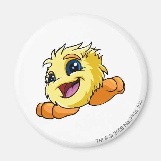 JubJub Yellow Magnet (Vorne)