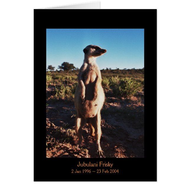 Jubulani Frisky - Legenden-Karte (Vorne)