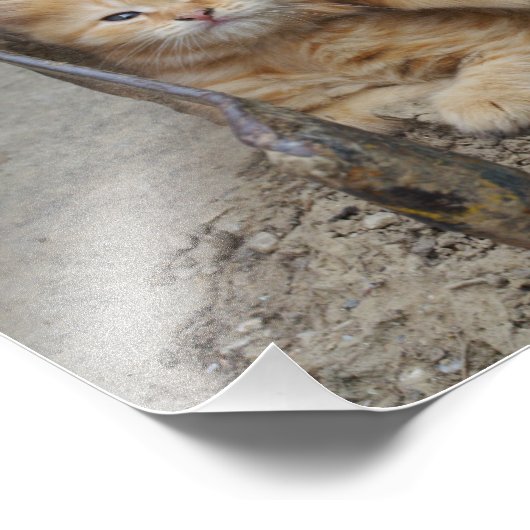 juckend fotodruck (Ecke)