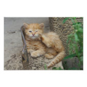 juckend fotodruck (Vorne)