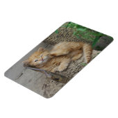 juckend magnet (Linke Seite)