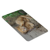 juckend magnet (Rechte Seite)