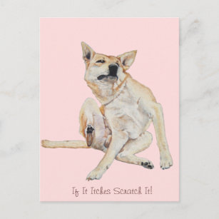 juckender Hund kratzt mit lustigem Slogan Postkarte