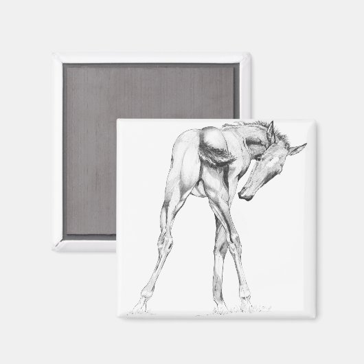 Juckreiz Magnet (Vorderseite/Rückseite)