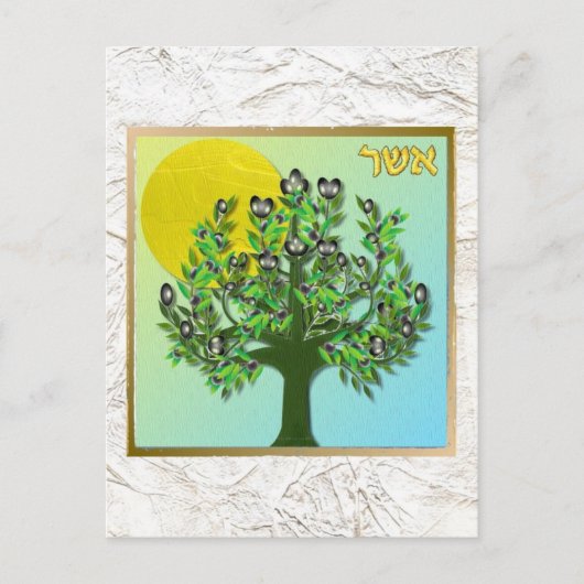 Judaika 12 Stämme Israel Asher Postkarte (Vorderseite)