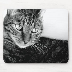 Jude Mousepad