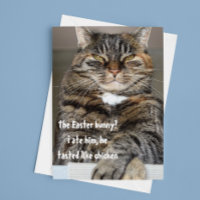 Judentalkatze Ate Osterfest Sonniger Spaß Funny