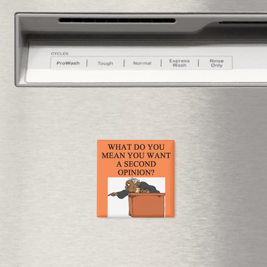 JUDGE Witz Magnet (In Situ (Geschirrspüler))