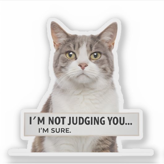 Judging Cat Sarcastic Quote Minimal Art Aufkleber (Vorderseite)