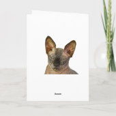 Judgmental Sphinx Cat Happy Birthday Dankeskarte (Rückseite)