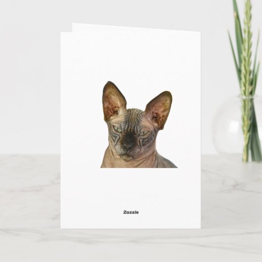 Judgmental Sphinx Cat Happy Birthday Dankeskarte (Rückseite)