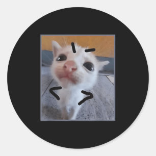 Judgy Kitty Funny Cat Lover Angry Kitten Meme Nied Runder Aufkleber