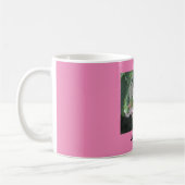 Judidas Tasse (Links)