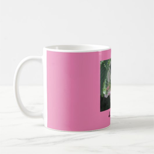 Judidas Tasse (Links)