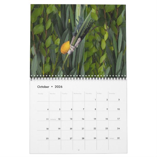 Jüdisches Leben Kalender (Okt 2026)