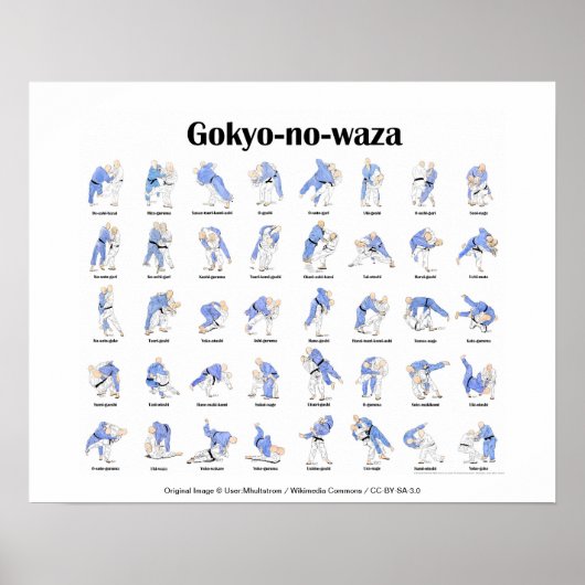 Judo throws poster (Vorne)