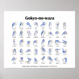 Judo-Würfe Poster