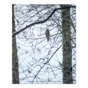 Jugend an der Kante Fotodruck