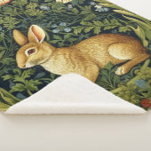 Jugendhase im Garten Sherpadecke (3/4)