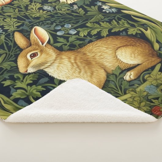 Jugendhase im Garten Sherpadecke (3/4)