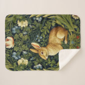 Jugendhase im Garten Sherpadecke (Vorderseite (Horizontal))