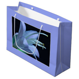 Jugendherberge Blume, elegantes Solo Portrait Foto Große Geschenktüte