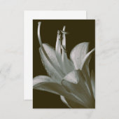 Jugendherberge Fotografie, Elegante Vintage Sepia (Vorne/Hinten)