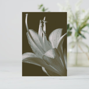 Jugendherberge Fotografie, Elegante Vintage Sepia