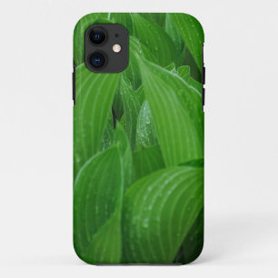 Jugendherbergen mit Raindrops Case-Mate iPhone Hülle