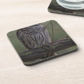 Jugendlich-abgehaltene Eule (Strix varia) 2 Getränkeuntersetzer (Linke Seite)