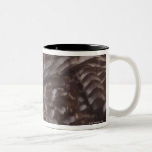 Jugendlich-abgehaltene Eule (Strix varia) Zweifarbige Tasse