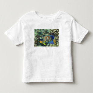 Jugendliche Königin-Doktorfische Pygoplites Kleinkind T-shirt