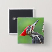 Jugendlicher Buntspecht-Profil-Geschenke Bekleidun Button (Vorne & Hinten)