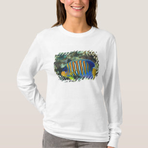 Jugendlicher Königlicher Engelfisch Pygoplites T-Shirt