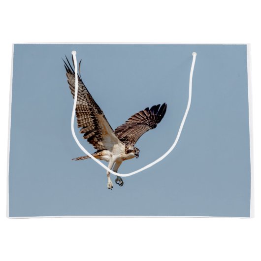 Jugendlicher Osprey im Flug Große Geschenktüte (Vorderseite)
