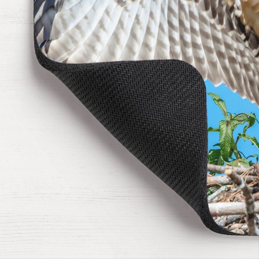 Jugendlicher Osprey im Nest Mousepad (Ecke)