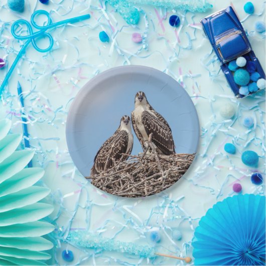 Jugendlicher Osprey im Nest Pappteller (Party)