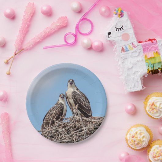 Jugendlicher Osprey im Nest Pappteller (Party)