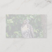 Jugendlicher rot-angebundener Falke Visitenkarte (Rückseite)