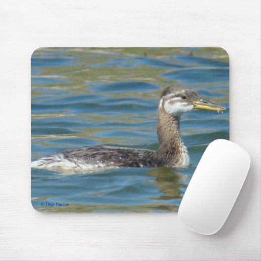 Jugendlicher rothalsiger Grebe B40 Mousepad (Mit Mouse)