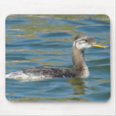 Jugendlicher rothalsiger Grebe B40 Mousepad (Vorne)