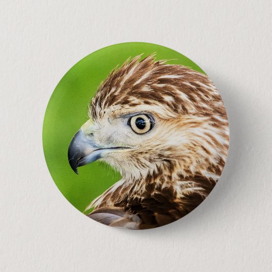 Jugendliches Rot angebundener Falke Button (Vorderseite)