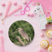 Jugendliches Schwarzes gekrönter Nachtreiher Pappteller (Party)