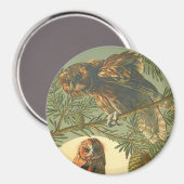 Jugendstil Anton Seder Eule braun-gelb Magnet (Vorderseite/Rückseite)